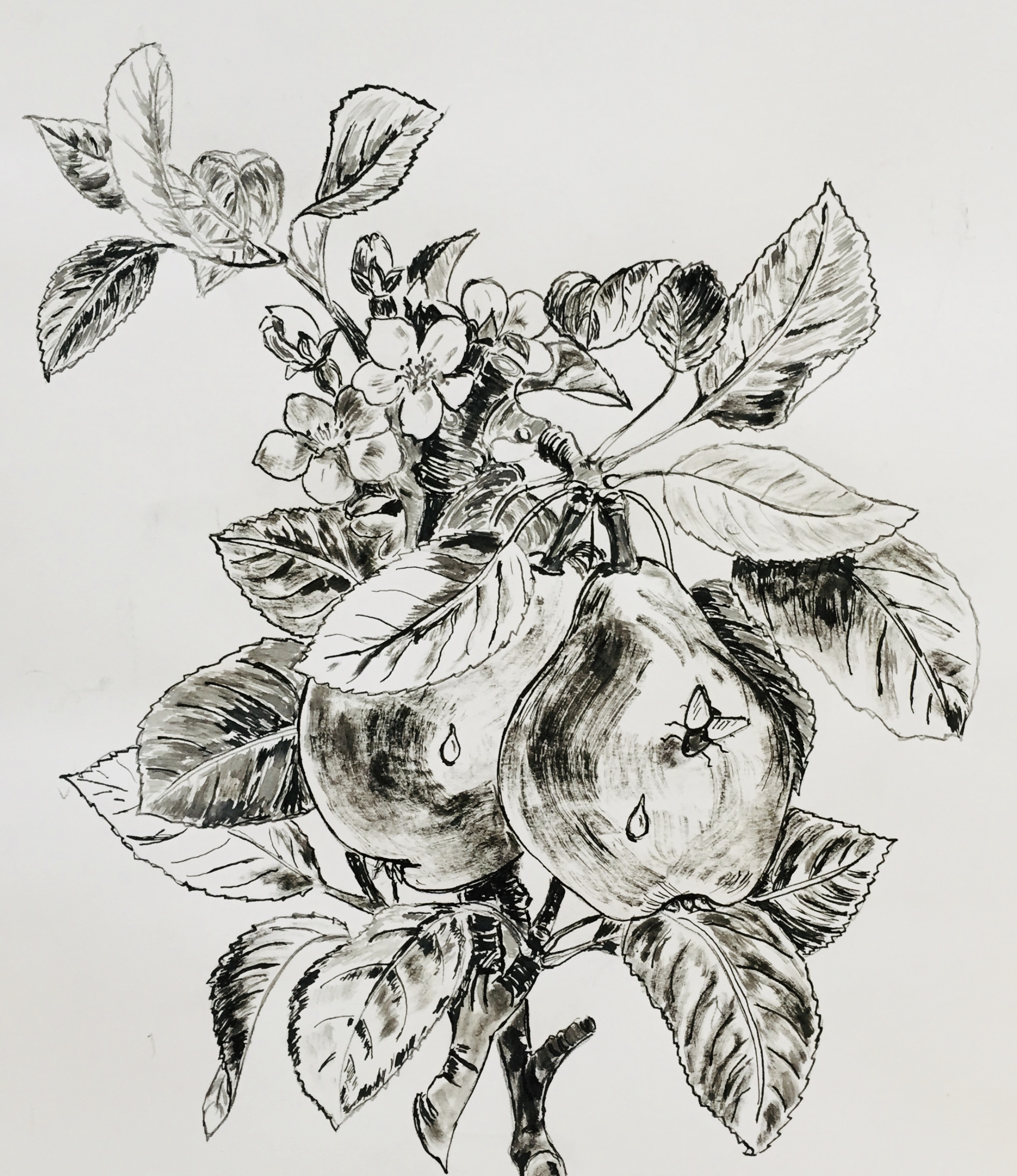 Cours de dessin Atelier Isabelle Melchiori Paris